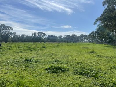 59 Gillap Summer Track, Furner