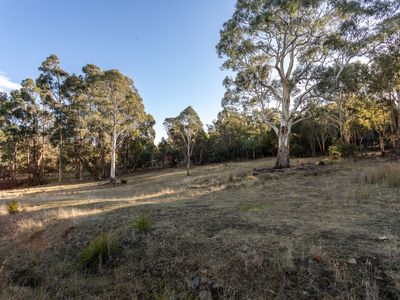 15 Travellers Drive, Travellers Rest