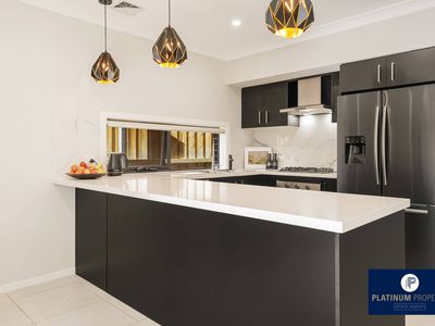 11 Biscuit Street, Leppington