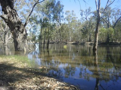 Lot 251 Balpool Road, Moulamein