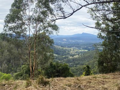 Lot 220 Comboyne Road, Byabarra