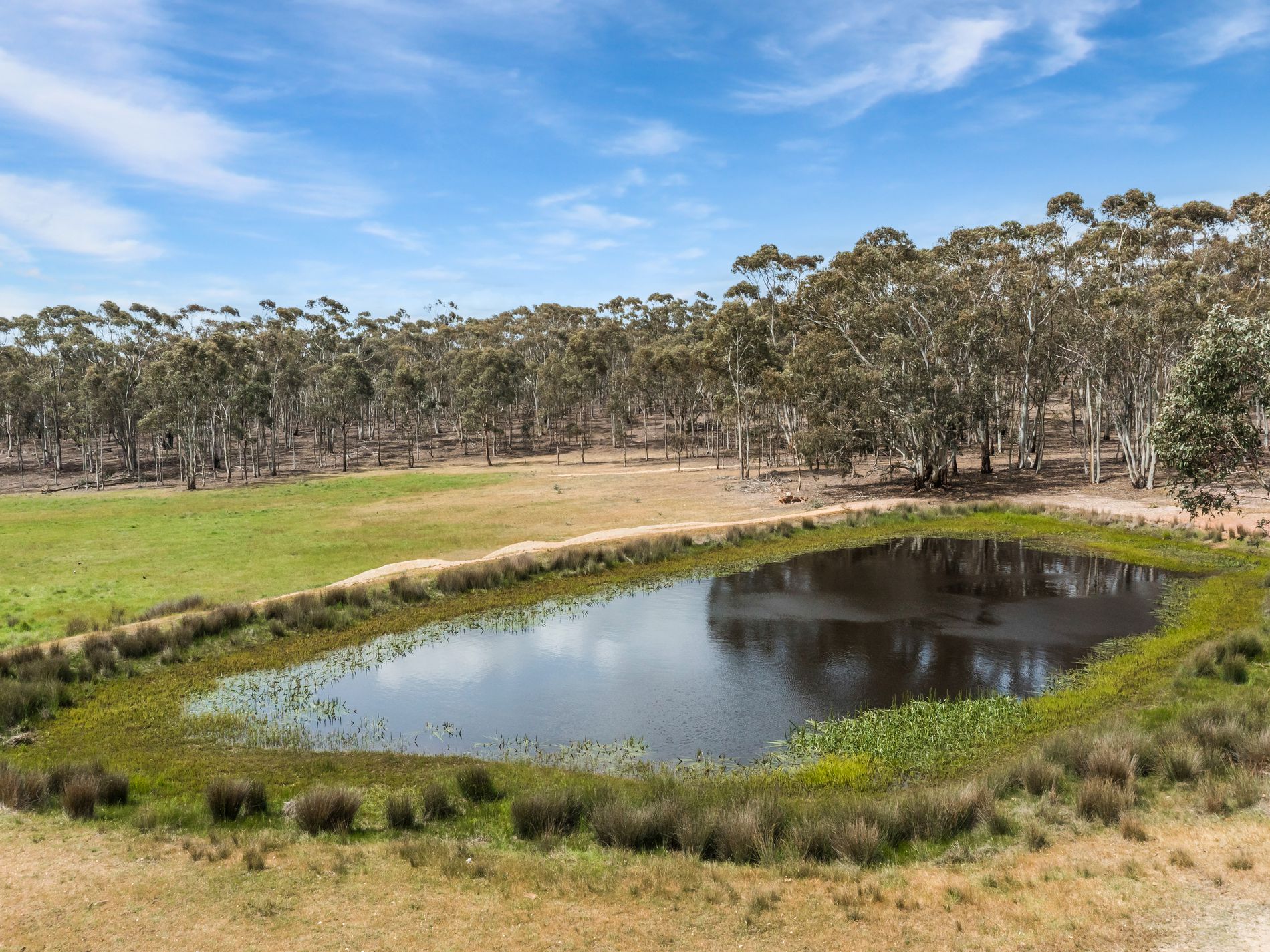 503 Mia Mia-Derrinal Road, Heathcote