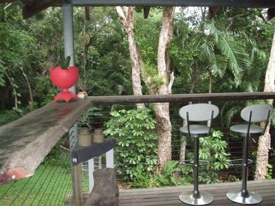 24 Seagren, Cooktown