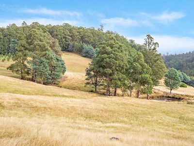 48 Arthurs Road, Pelverata