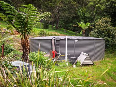 83 Rainforest Parkway, Narooma