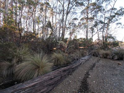 Lot 1, 466 Abels Bay Road, Abels Bay