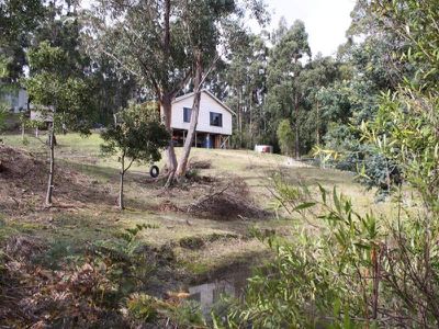 156 Kalonga Road, Nicholls Rivulet