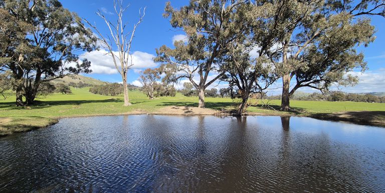 Lot 1  10 Dunnings Road, Balmattum