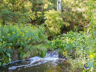 490 Punkalla Tilba Rd, Central Tilba