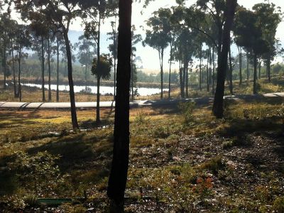Lot 8 Grenenger Road, Broadwater