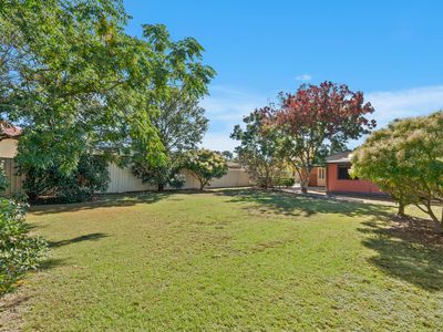 7 Elderberry Avenue, Worrigee