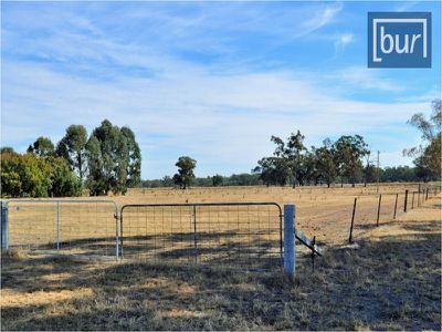 506 Up River Road, Carlyle