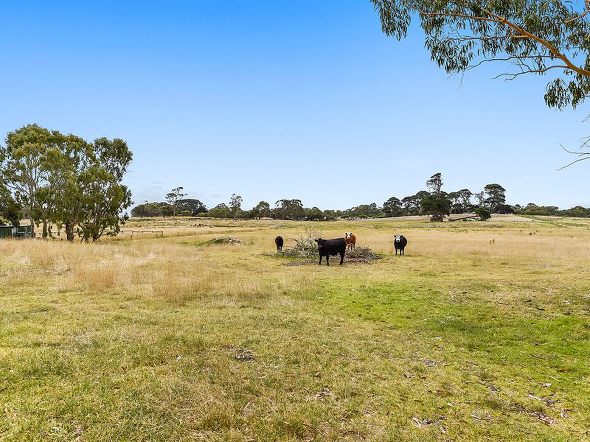 194 Hakea Drive , Millicent