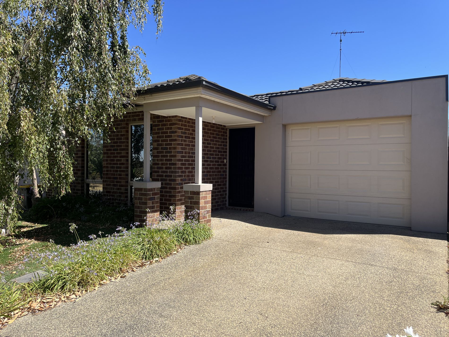 47 Treefern Street, Leopold