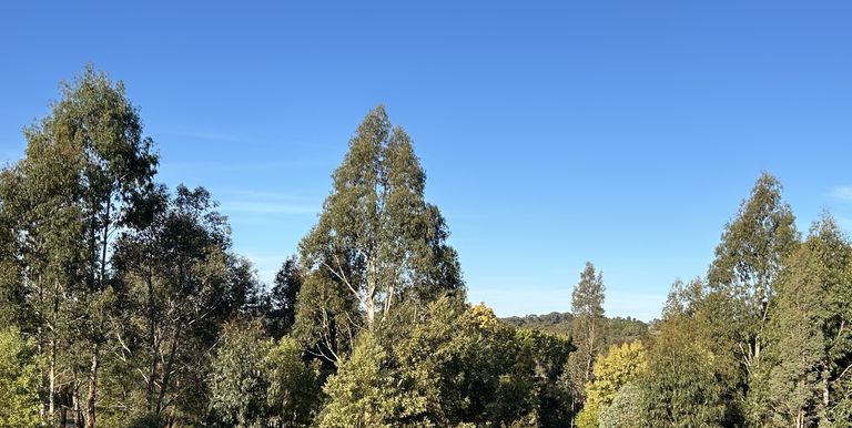 2122 Euroa-Strathbogie Road, Strathbogie