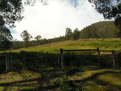 Halls Track Road, Pelverata