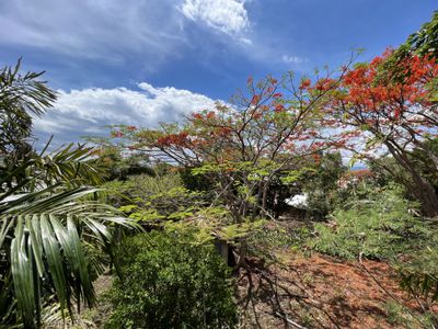 1 / 55 Helen Street, Cooktown