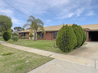 17 Cobham Avenue, Swan Hill