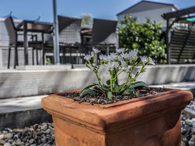 3 Robert Grove, Paraparaumu