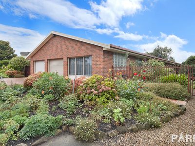 43 Benwerrin Crescent, Norwood