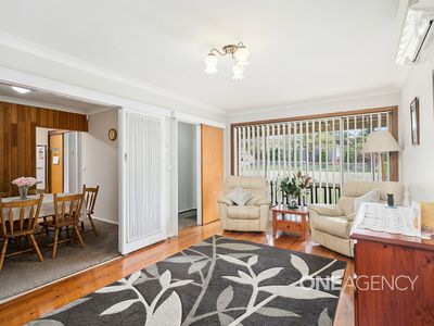 41 Laver Road, Dapto