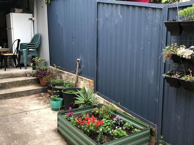 313 Cleveland Street, Redfern