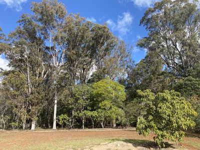 12 Geale Street, Kingaroy