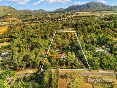 24 Alligator Creek Road, Alligator Creek