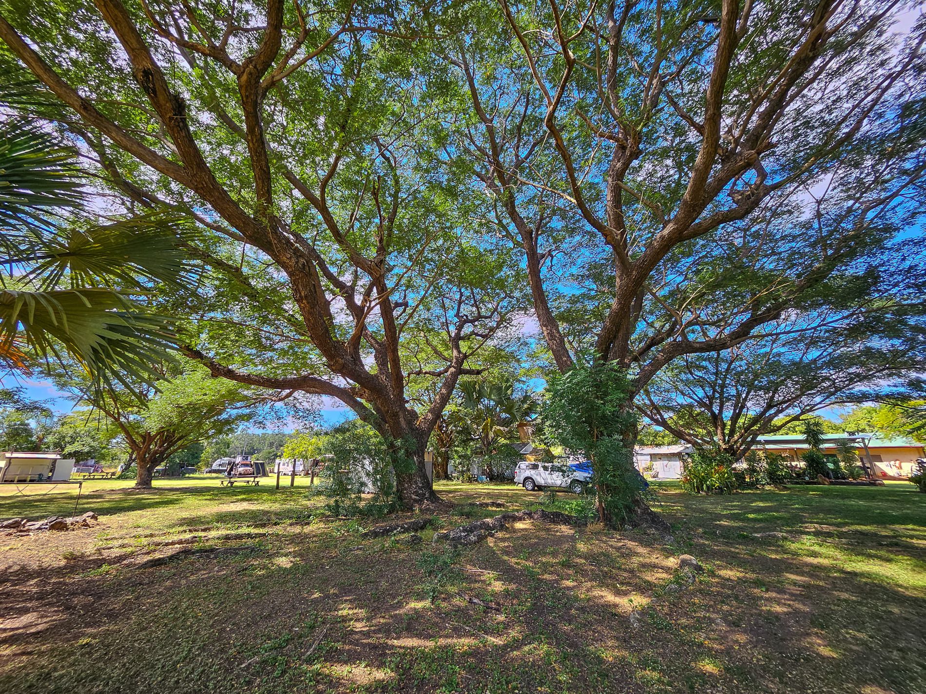 Lot 3 Terminus Street, Laura