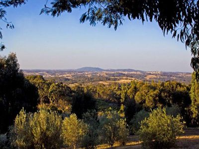 Lancefield