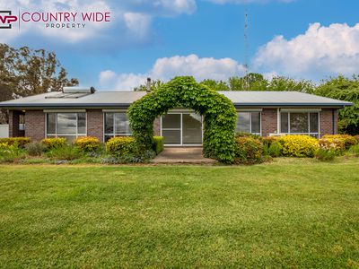 917 Emmaville Road, Glen Innes