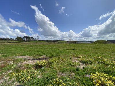 Hobsonville