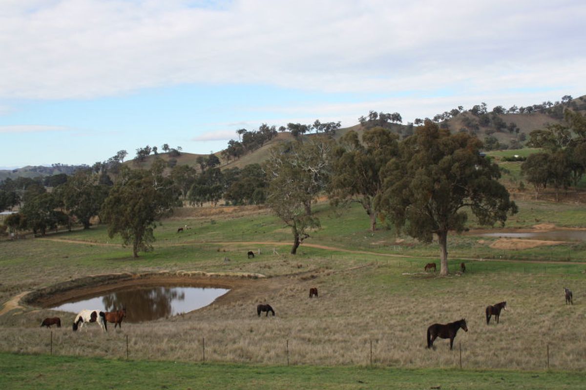 37 Lockharts Road, Bonnie Doon