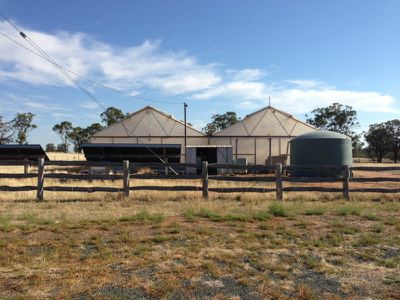 Cobb Highway, Deniliquin