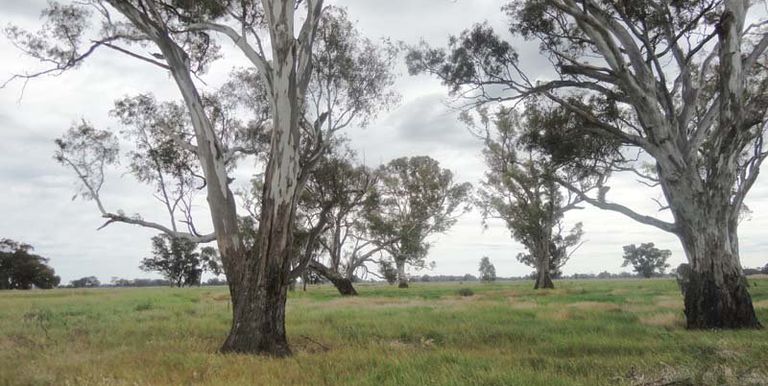 156 Hanneberys Road, Euroa
