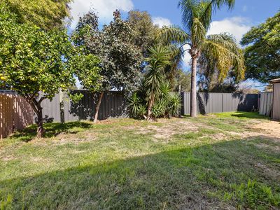 16 Brumby Place, Armadale