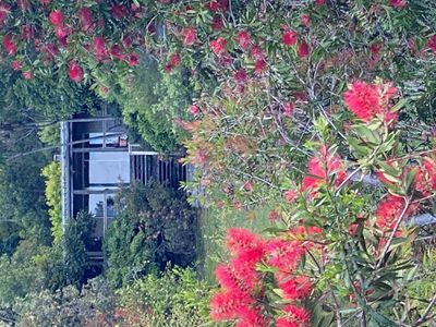 6 Anglers Drive, Gipsy Point