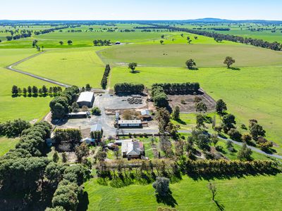 'Pastoria Park' 205 Balldale Road, Hopefield