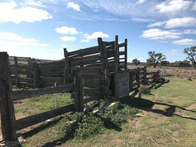 Riverside Homestead Colenso Park Road, Barham