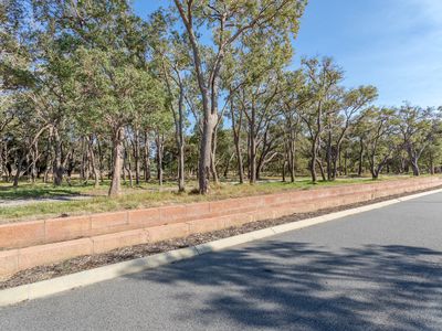 21 Sarsaparilla Ramble, Byford