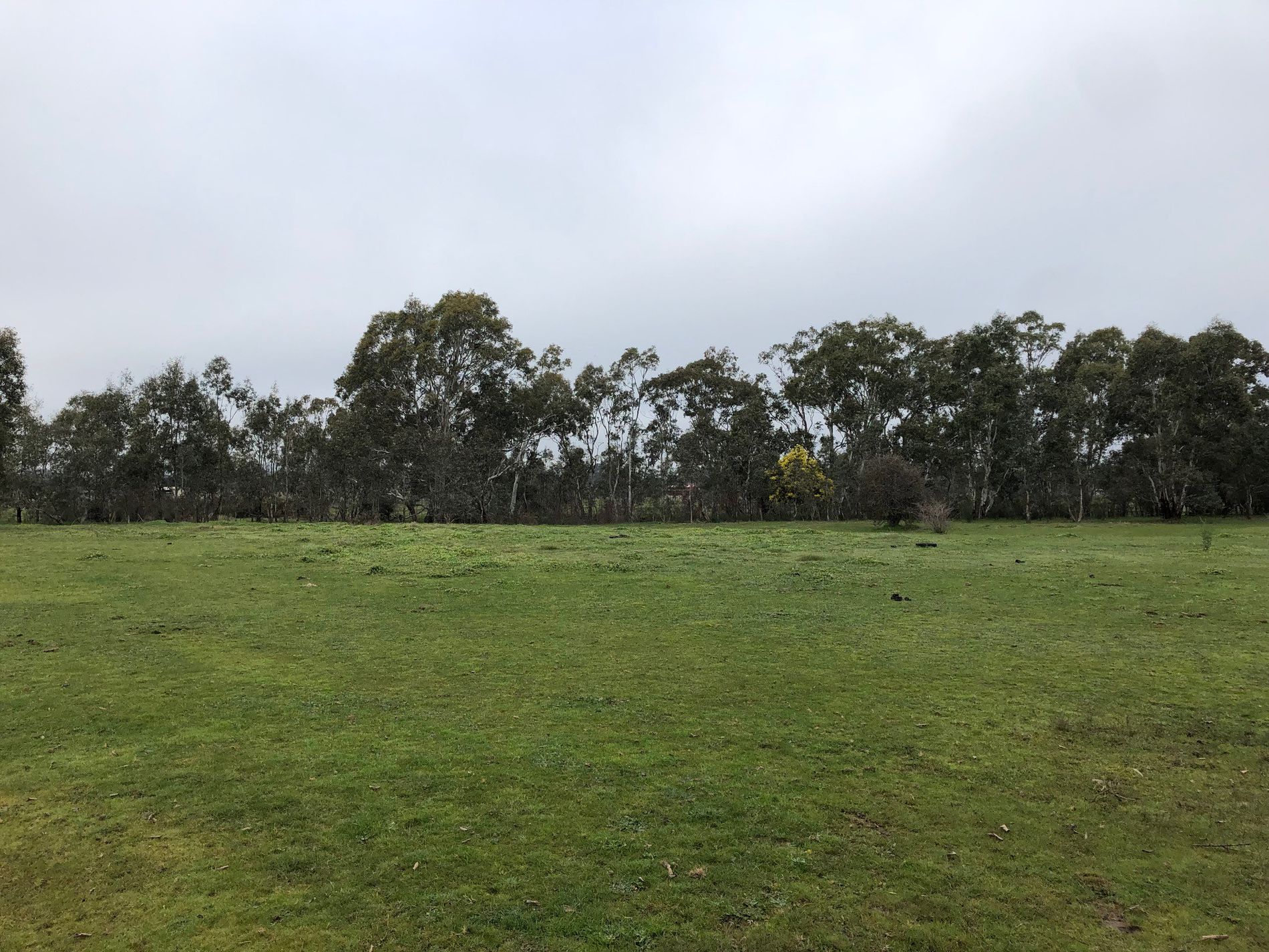2160 Lexton-Talbot Road, Talbot