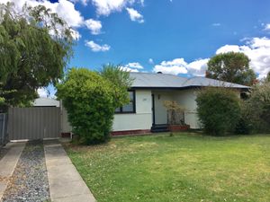 224 Lowry Street, North Albury