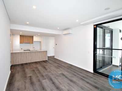 605 / 11 RAPHAEL STREET, Lidcombe