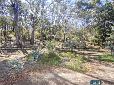 20 Caldwell Street, Heathcote