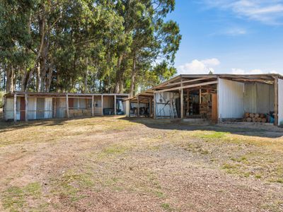 118 Facey Drive, Tolmie