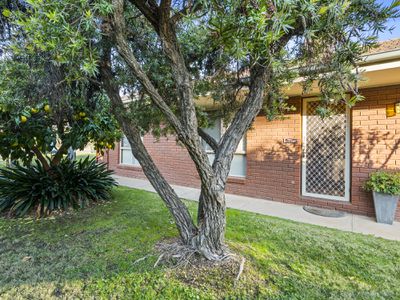 5 / 25 Calaway Street, Tocumwal