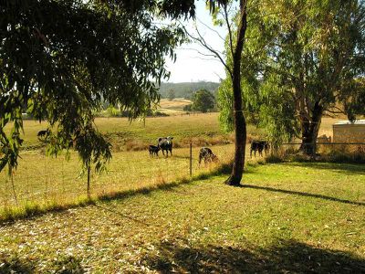 271 Arve Road, Geeveston