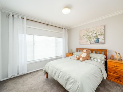 17 Scoresby Avenue, Shepparton