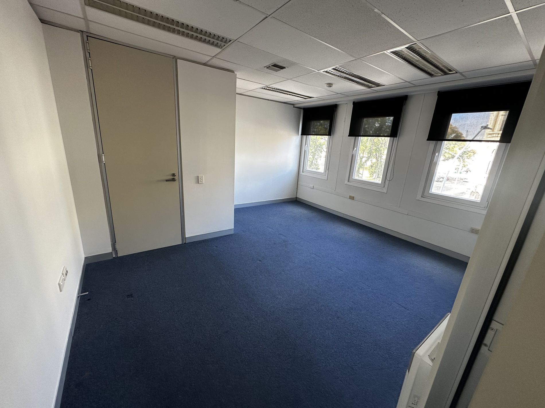 8 / 1 Bond Street, Dunedin Central