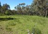 Lot 175 Kangaroobie Road, Orange